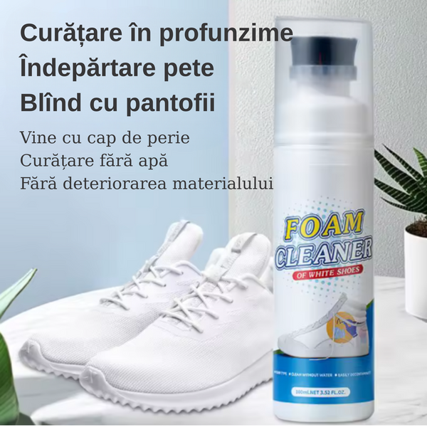 Kit pentru Curatare Incaltaminte